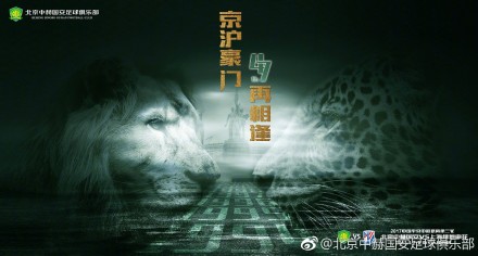 hd性videos意大利精品