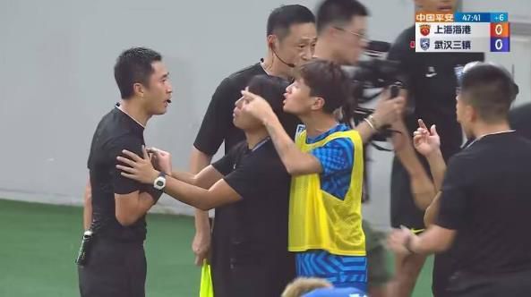 国产成人精品综合在线观看