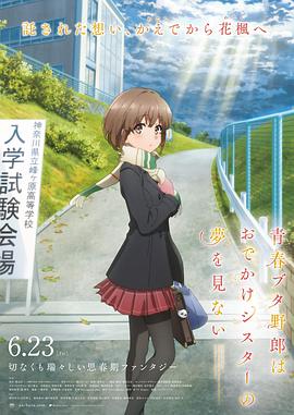 一区二区在线不卡