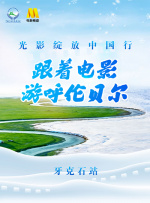 权力的游戏龙之家族