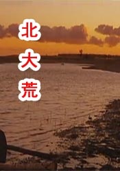 h片在线免费观看