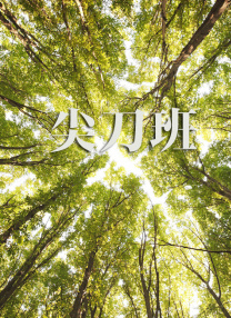 欧美一级黄色录相