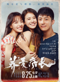 午夜在线观看网站