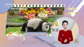久久综合99re88久久爱